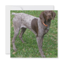 German Shorthaired Pointer Poster Invitations