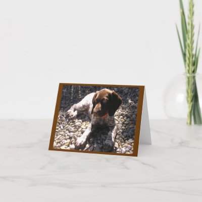 German Shorthaired Pointer Puppy Chillin' Card by sassybellewares