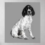 German Shorthaired Pointer Puppy Print