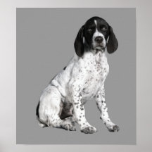 German Shorthaired Pointer Puppy Print