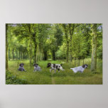 German Shorthaired Pointer Pups Print