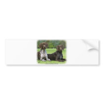 German Shorthaired Pointers 9J37D-09 bumper stickers