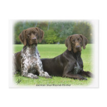 German Shorthaired Pointers 9J37D-09 postcards