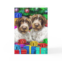 German WH Pointer Open Gifts Christmas cards