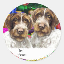 German WH Pointer Open Gifts Christmas Gift Tags stickers