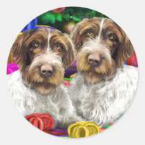 German WH Pointer Open Gifts Christmas stickers