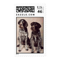German Wire Haired Pointers postage by freespiritdesigns German Wire Haired Pointers postage