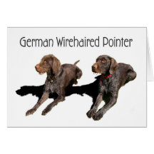 German Wirehaired Pointer Card