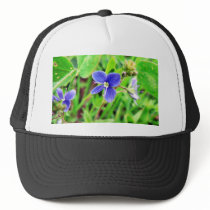 Germander Speedwell Flower hats