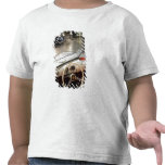 Germany, Baden-Wurttemberg, Tees