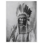 'Geronimo with Headdress' Custom Flyer