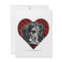 Gerry, Beagle with Heart Announcement