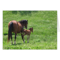 Get a Kick out of Life Horses Greeting Cards