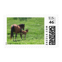 Get a Kick out of Life Horses Postage Stamp