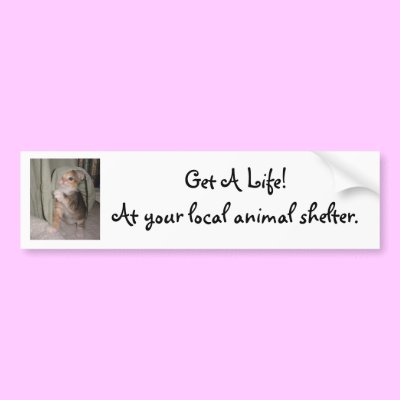 Get A Life! Bumper Sticker by House_Of_Purrs