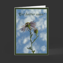 Get better soon cards
