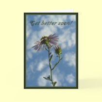 Get better soon cards