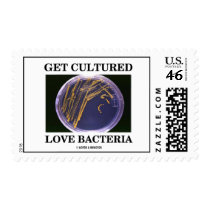 Get Cultured Love Bacteria (Agar Plate) Postage Stamp