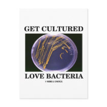 Get Cultured Love Bacteria (Petri Dish Humor) Post Cards