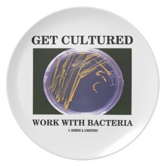 Get Cultured Work With Bacteria (Agar Plate)