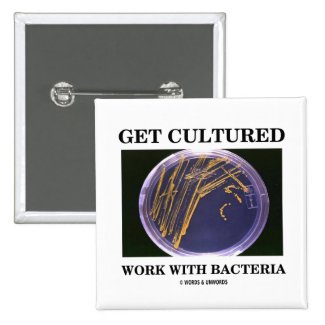 Get Cultured Work With Bacteria (Agar Plate) Buttons