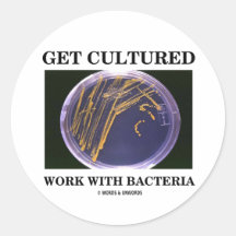 Get Cultured Work With Bacteria (Agar Plate) Round Sticker