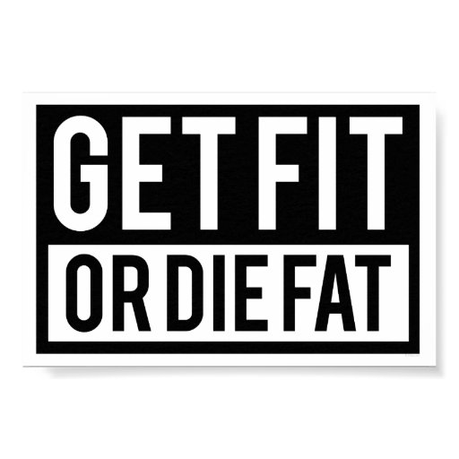 fat or fit? essay fat or fit? essay
