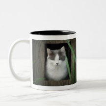 Get off my lawn mug