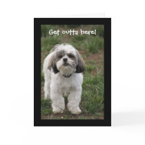Get outta here! greeting card