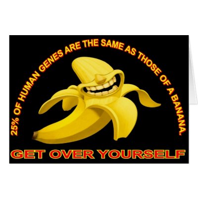 Get Over Yourself, card by WiscMeBrit