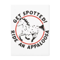 Get Spotted Leopard Appaloosa Post Card