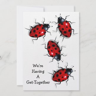 Get Together: Realistic Ladybugs, Ladybirds: Art