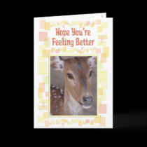 Get Well Card