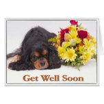 Get Well Cavalier King Charles Spaniel Card