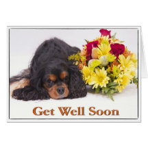 Get Well Cavalier King Charles Spaniel Card