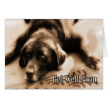 Get Well Chocolate Labrador Retriever Dog cards