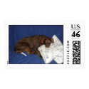 Get Well Jake postage