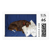 Get Well Jake postage by mdgordon Get Well Jake postage
