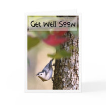 Get Well - Nuthatch Greeting Card