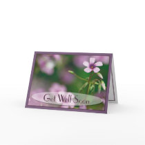 Get Well - Pink Wood Sorrel Greeting Card