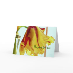 Get Well Prayer card