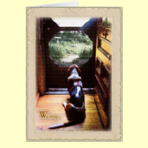 Get well soon  -Basset Hound cards