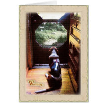 Get well soon  -Basset Hound Cards