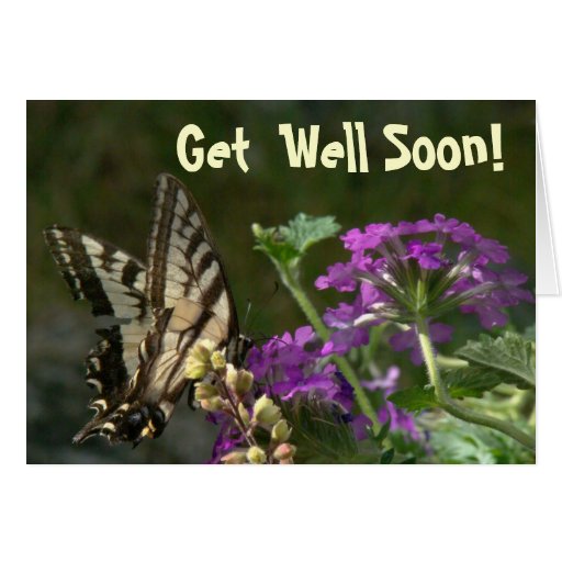 Get Well Soon Butterfly Card Zazzle