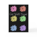 chrysanthemum, chrysanthemums, blank, get, well,