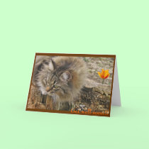 Get well soon!! cards by lorale Get well soon!! cards