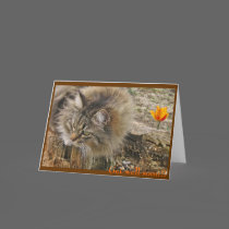 Get well soon!! cards by lorale Get well soon!! cards