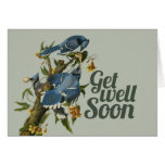 Get well Soon Card