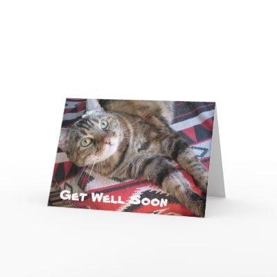 Get Well Soon Cat cards