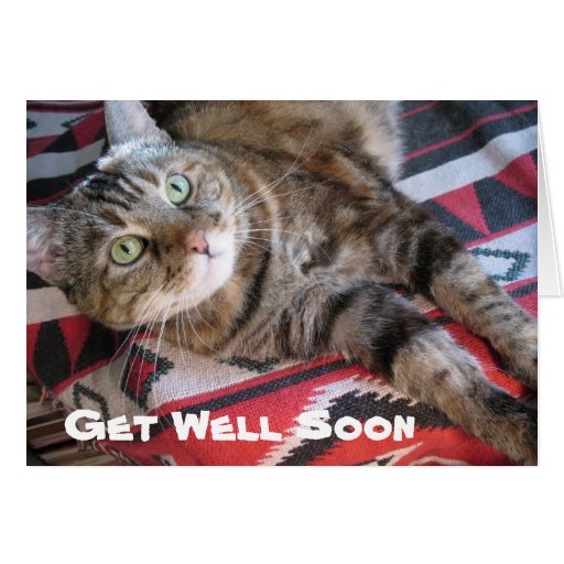 Get Well Soon Cat Greeting Card Zazzle
